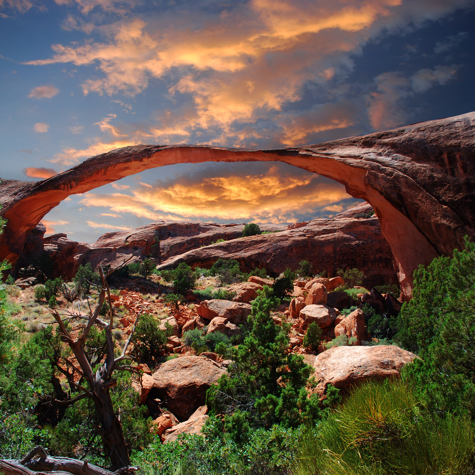 Devil's Garden - Arches National Park in Utah, USA  I Like To Waste My Time