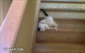 Lazy cat sliding down the stairs animated