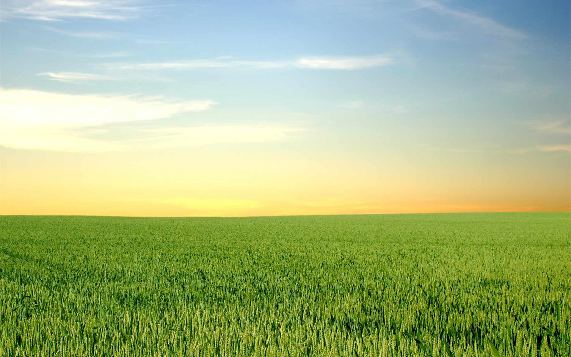 Daily Wallpaper: Green Fields and Blue Skies | I Like To ...
