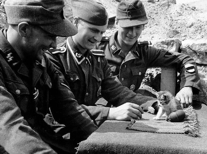 [Image: historical-photos-pt5-german-soldiers-kitten-1943.jpg]