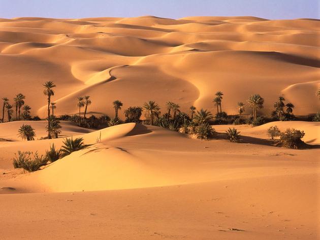 A desert oasis somewhere in Libya