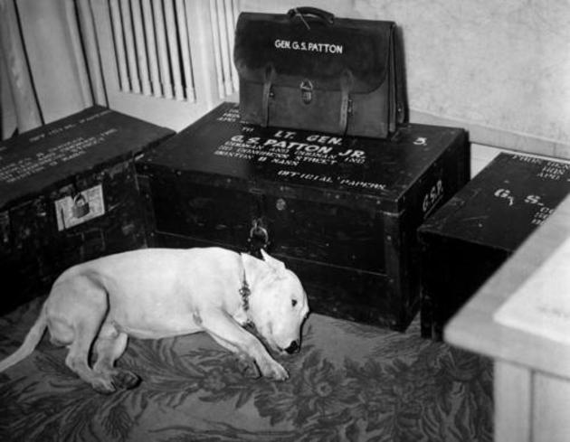 General George S Pattons dog on the day of his death