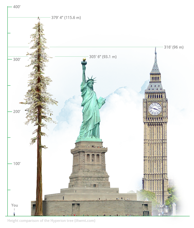 How Deep Is 130 Meters how-deep-is-130-meters