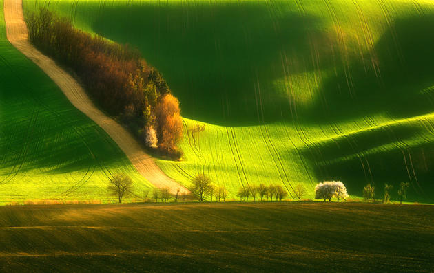 surreal-photos-pt1-moravia-fields-green.jpg