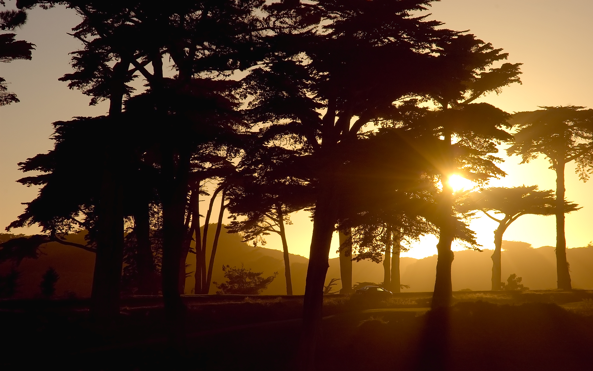 Daily Wallpaper: Lake Merced, San Francisco [Exclusive 