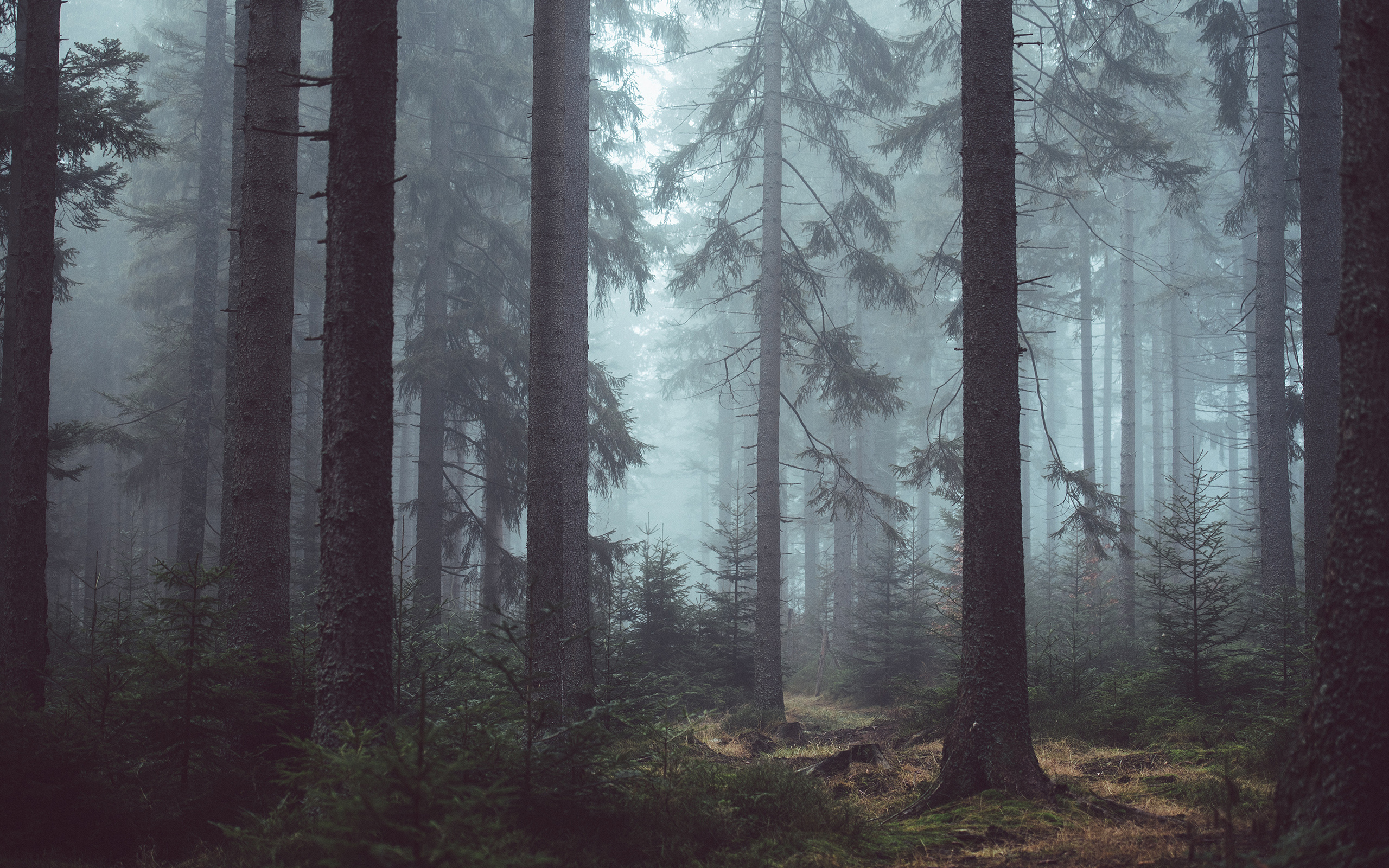 Daily Wallpaper: Sumava National Park, Czech Republic | I Like To Waste ...