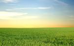 Blue Skies and Green Fields Wallpaper for Mac or PC