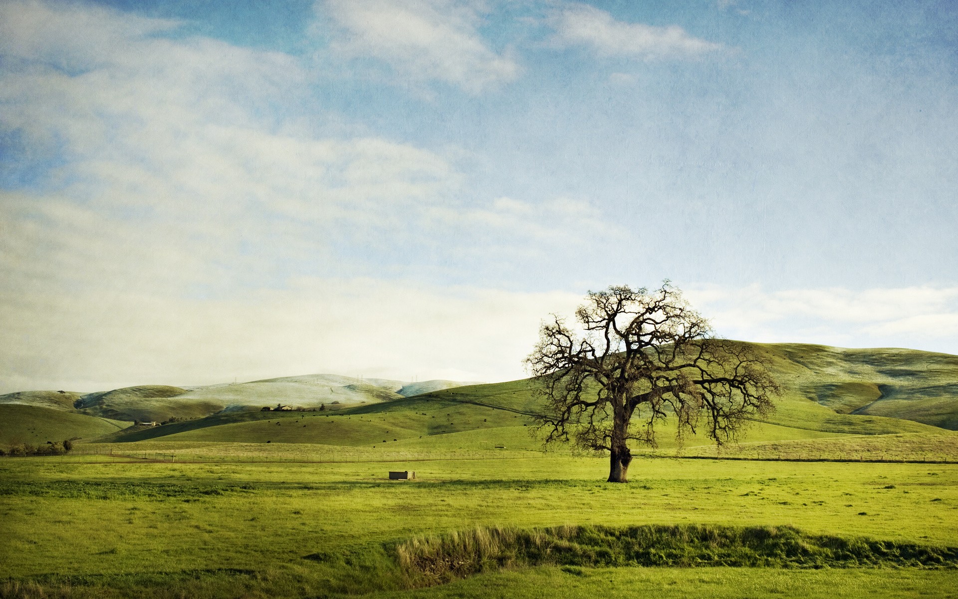 Daily Wallpaper: Rolling Hills | I Like To Waste My Time